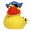 Canard voyage