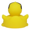 Canard voyage