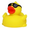 Canard voyage
