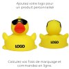 Canard voyage