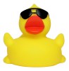 Canard voyage