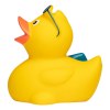 Canard sport