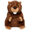 Peluche castor