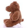 Peluche ours