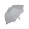 Grand parapluie de golf