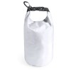 Sac - Kinser