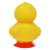 Canard debout