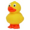 Canard debout