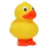 Canard debout