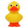 Canard debout