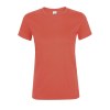 Tee-shirt femme col rond - REGENT WOMEN