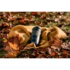 Contigo® Byron Medium 470 ml gobelet thermos
