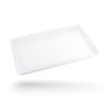 MINI PLATO 25X15X2 CM (IML)