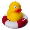 Accessoire canard