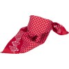 Bandana carré
