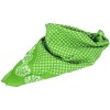 Bandana carré