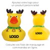 Canard hiver MBW