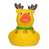 Canard hiver MBW