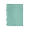 Gant de toilette The One Towelling