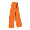 Echarpe pour peluche