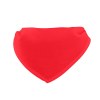 Bandana pour peluche