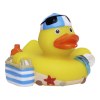 Canard voyage