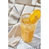 Paille en acier inoxydable DRINK ELEGANT
