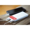 Powerbank SILICON VALLEY