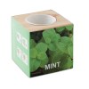 MENTA - Pot en bois avec graine