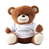 Ours en peluche marron foncé très mignon