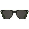 Lunettes de soleil bicolores Sun Ray