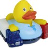 Canard business