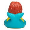Canard voyage