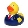 Canard business
