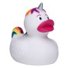 Canard fête