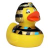 Canard fête