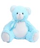 Ours en peluche