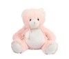 Ours en peluche
