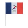 Drapeau tricolore (+Quadri sublimation QS11)