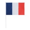 Drapeau tricolore (+Sérigraphie TH21)