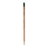 Sprout™ - Crayon