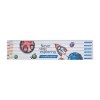 Set Quadri 6 Coul 17,6 Cm