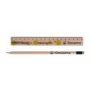 Kit Eco Comprenant 1 Regle Bois Eco 17 Cm