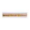 Regle Eco 17 Cm Sachet Polypro