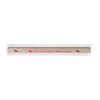 Regle Eco 30 Cm Sachet Polypro