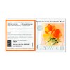 DUO DE SACHET DE GRAINES 101 x 180 MM