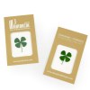 Porte bonheur en carte de poche - Trèfle à 4 feuilles séché