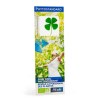 MARQUE-PAGES AVEC TREFLE A 4 FEUILLES