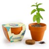 KIT EXPRESS TERRE CUITE 55 MM