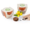 KIT EXPRESS TERRE CUITE 55 MM